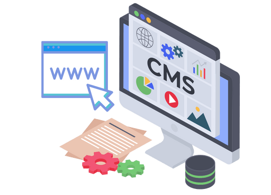 wordpress developer